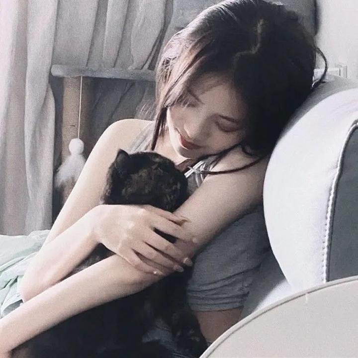 太阳与波莱罗
