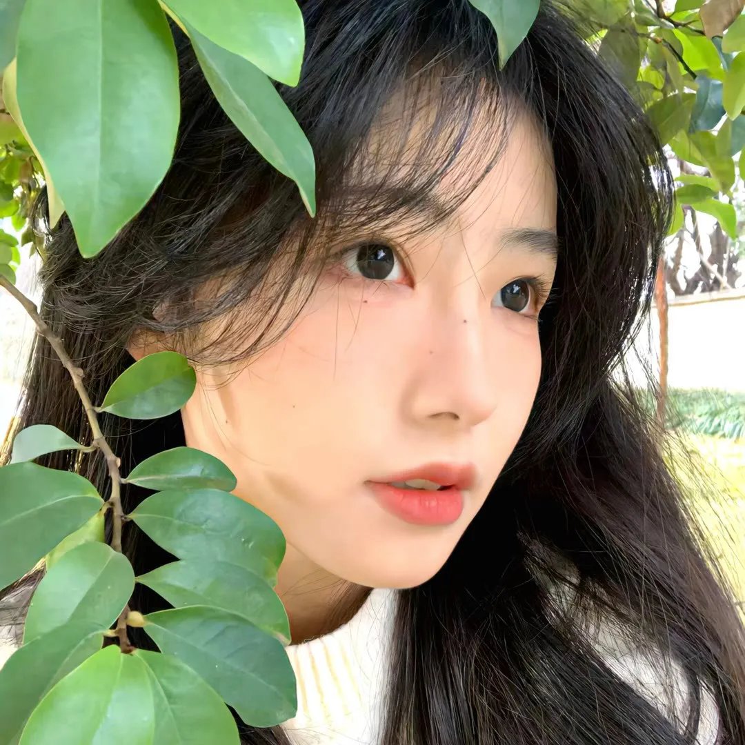 噬心